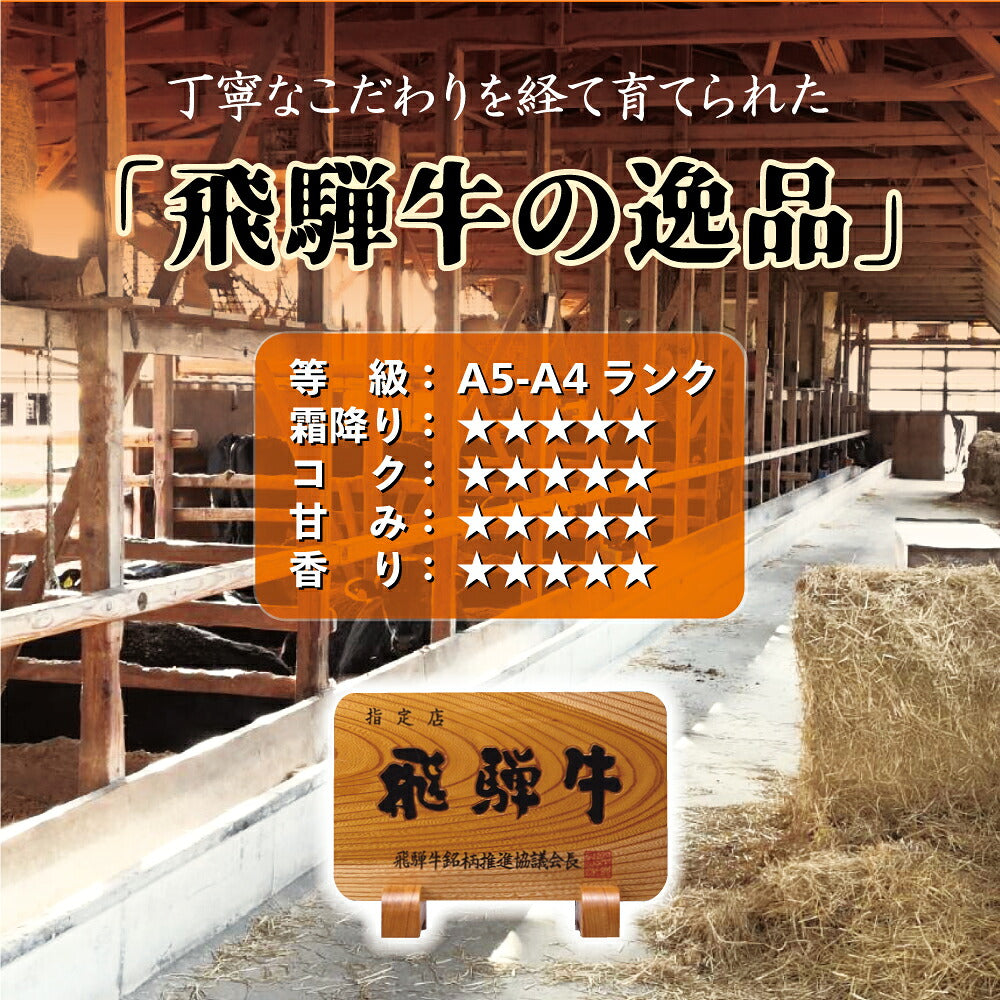 お肉 肉 お中元 ギフト 飛騨牛 500g 霜降り ロース