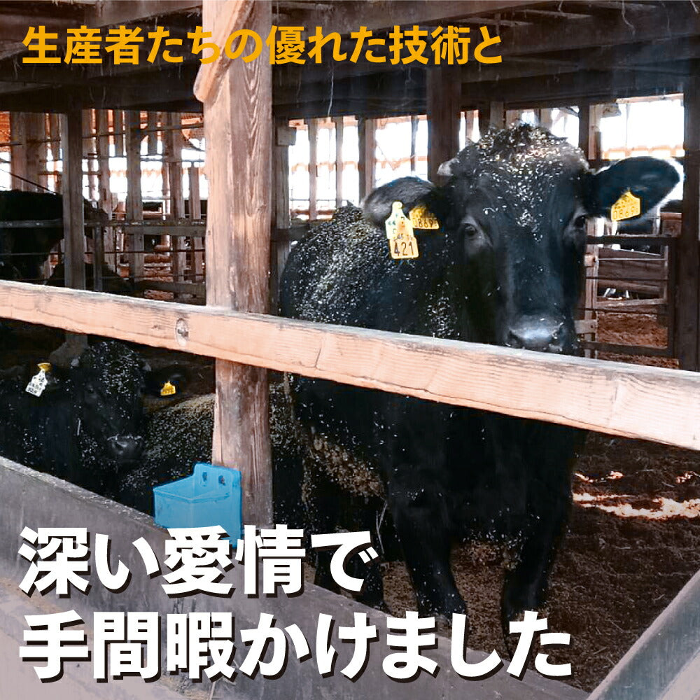 飛騨牛 サーロイン ステーキ 400g