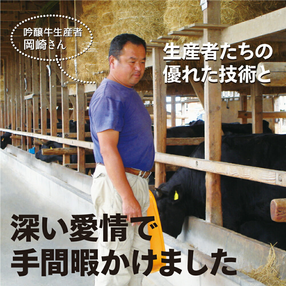 お肉 肉 ギフト 吟醸牛 400g 霜降り サーロイン