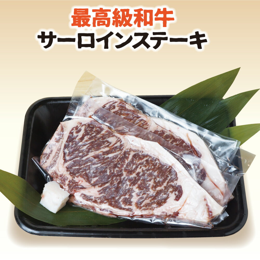 飛騨牛 サーロイン ステーキ 400g