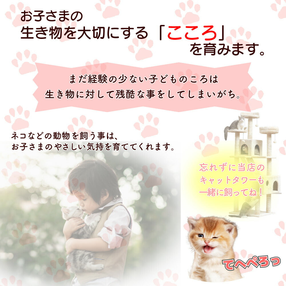 キャッスルキャットタワー
