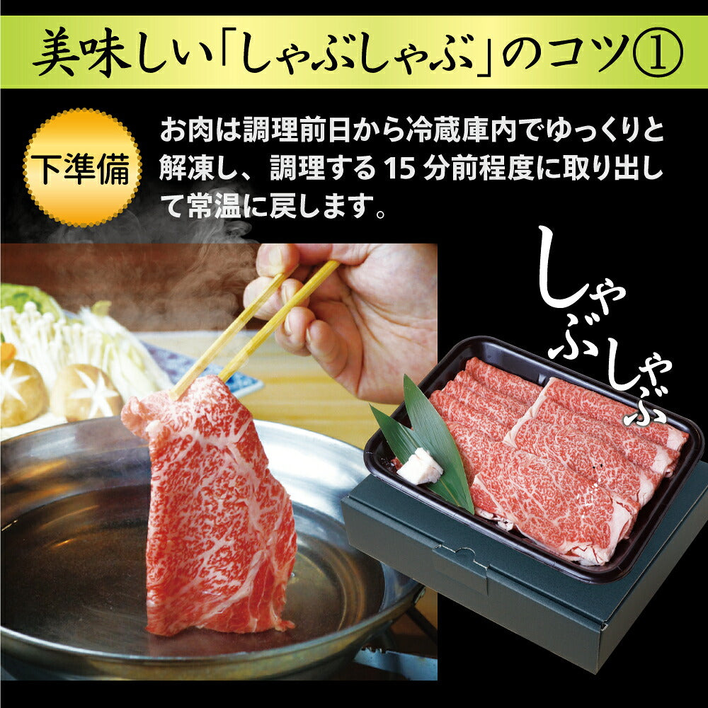 お肉 肉 お中元 ギフト 飛騨牛 500g 霜降り ロース