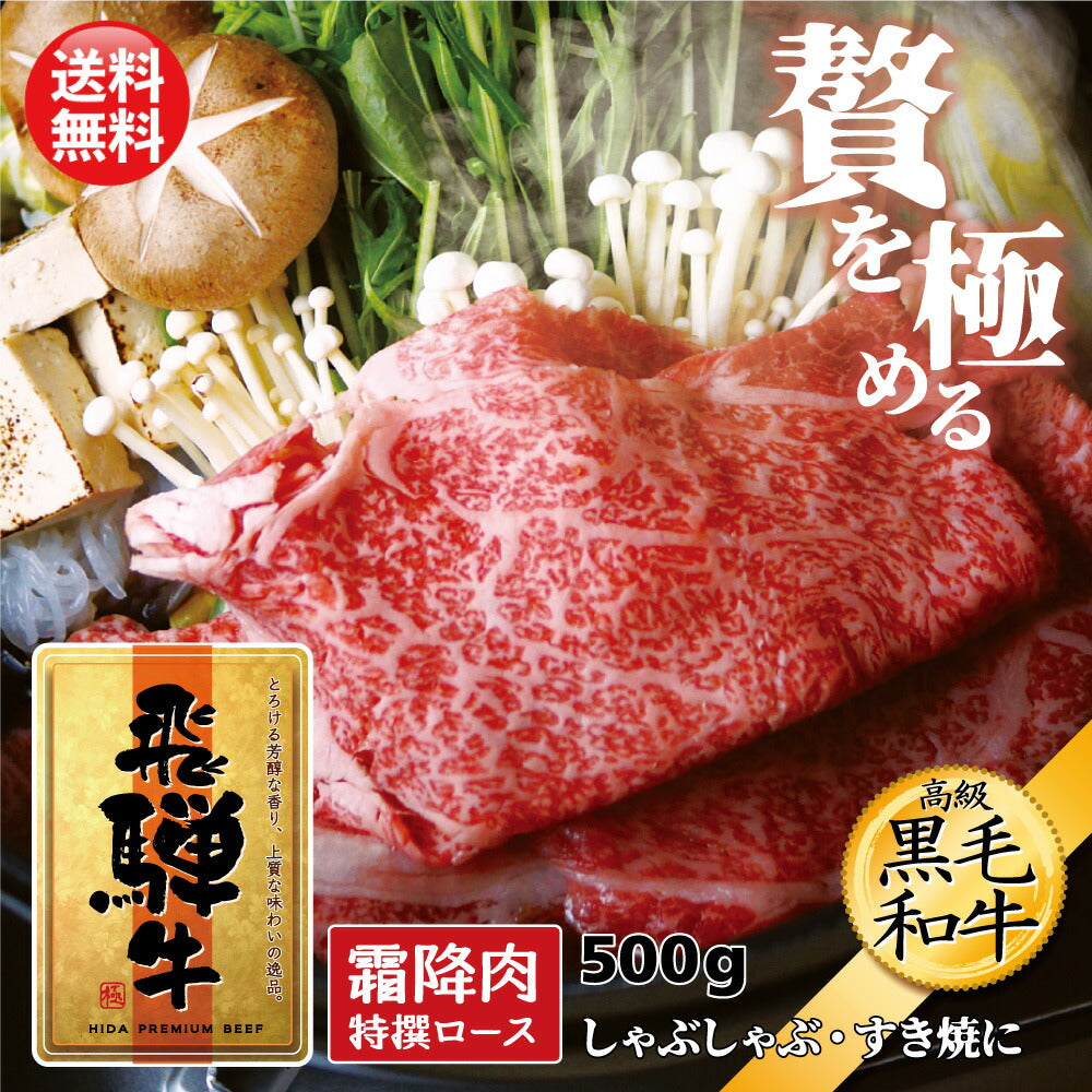 お肉 肉 お中元 ギフト 飛騨牛 500g 霜降り ロース