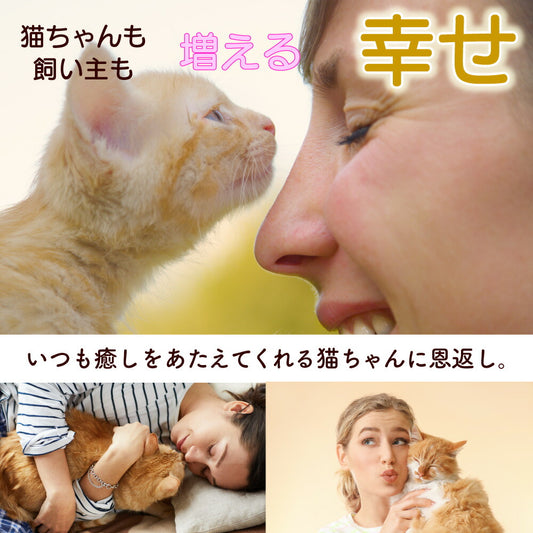 キャッスルキャットタワー