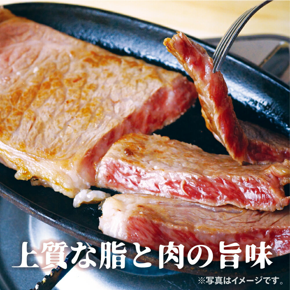飛騨牛 サーロイン ステーキ 400g