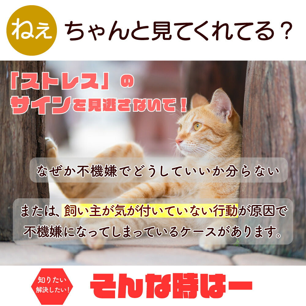 キャッスルキャットタワー