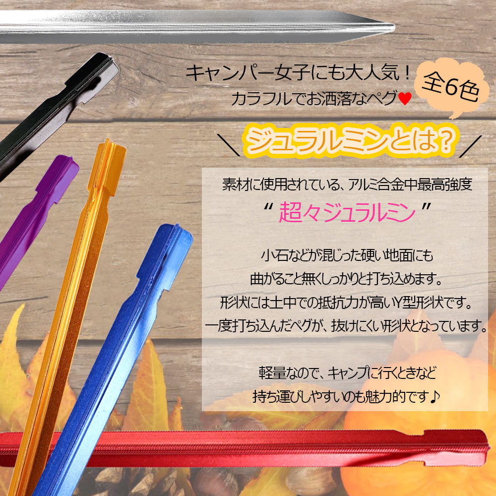 アルミハンマー&ペグ セット