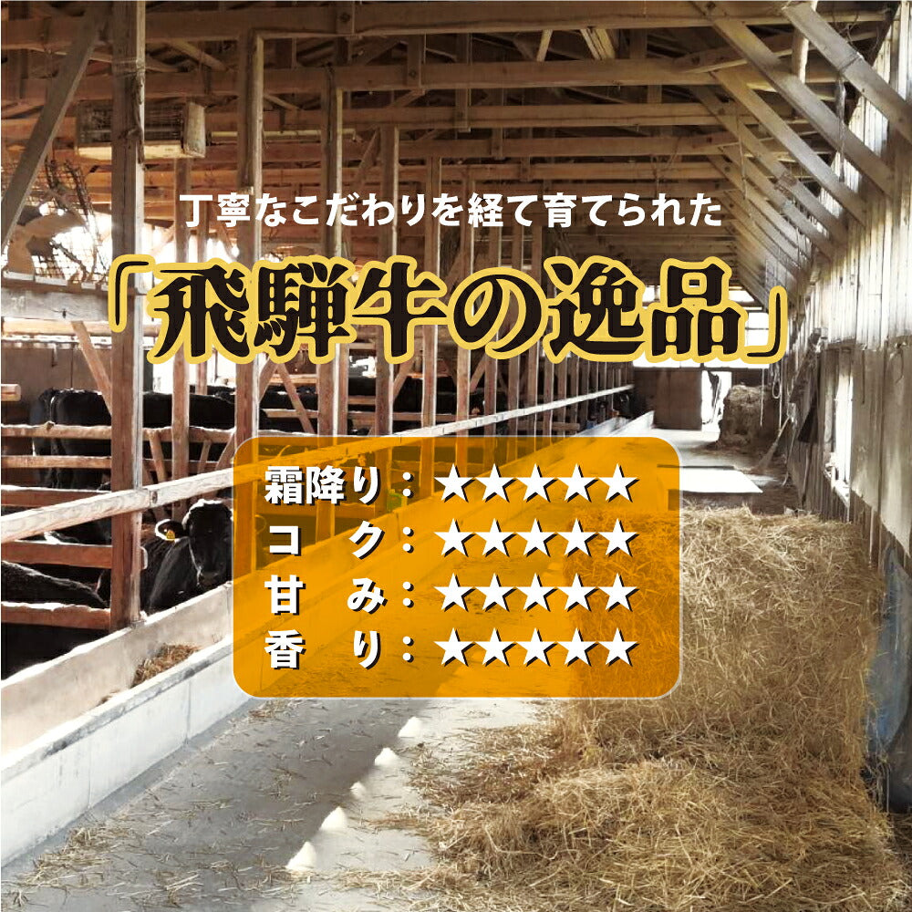 飛騨牛 サーロイン ステーキ 400g