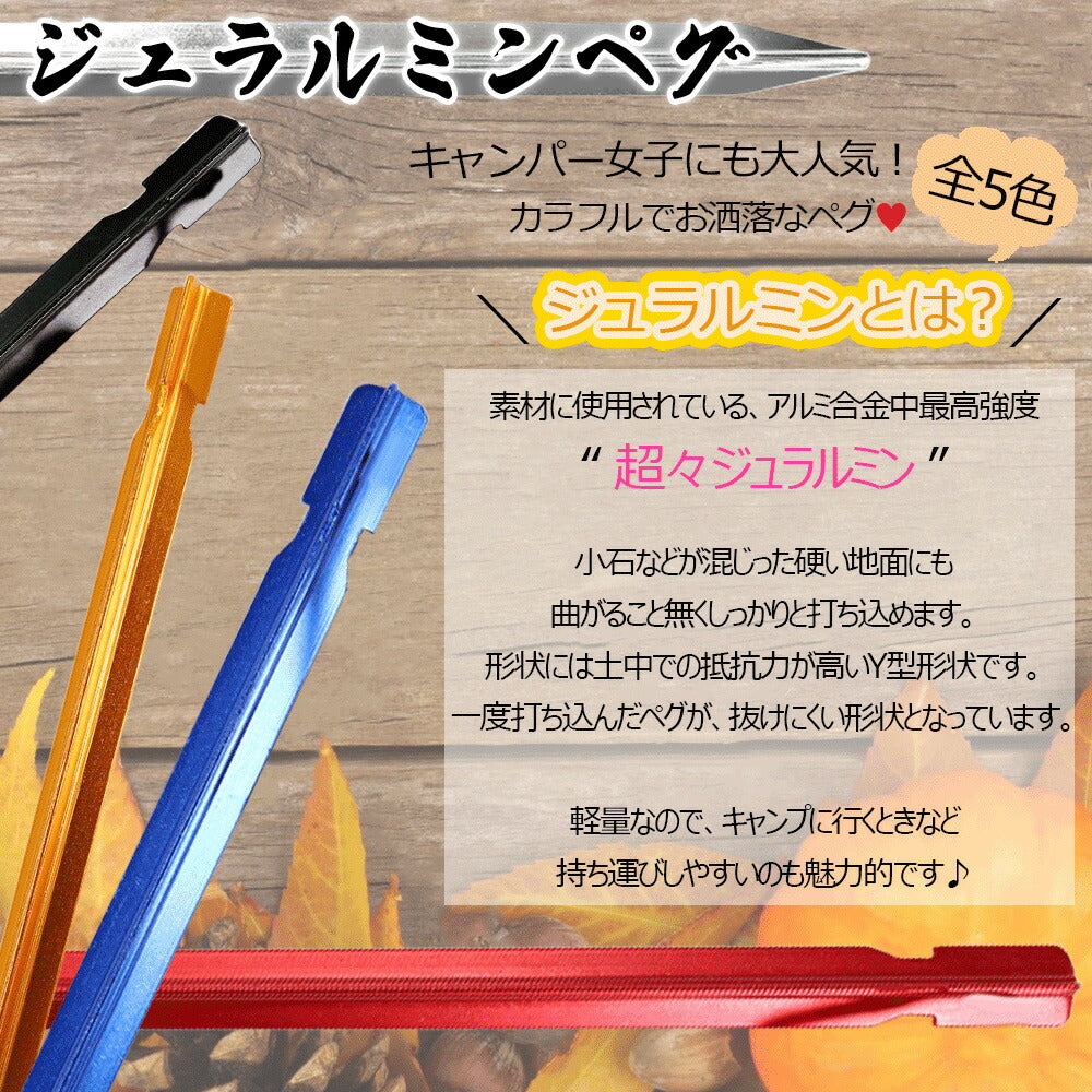 ペグ&ハンマー セット 鋳鋼スチール 重量750g