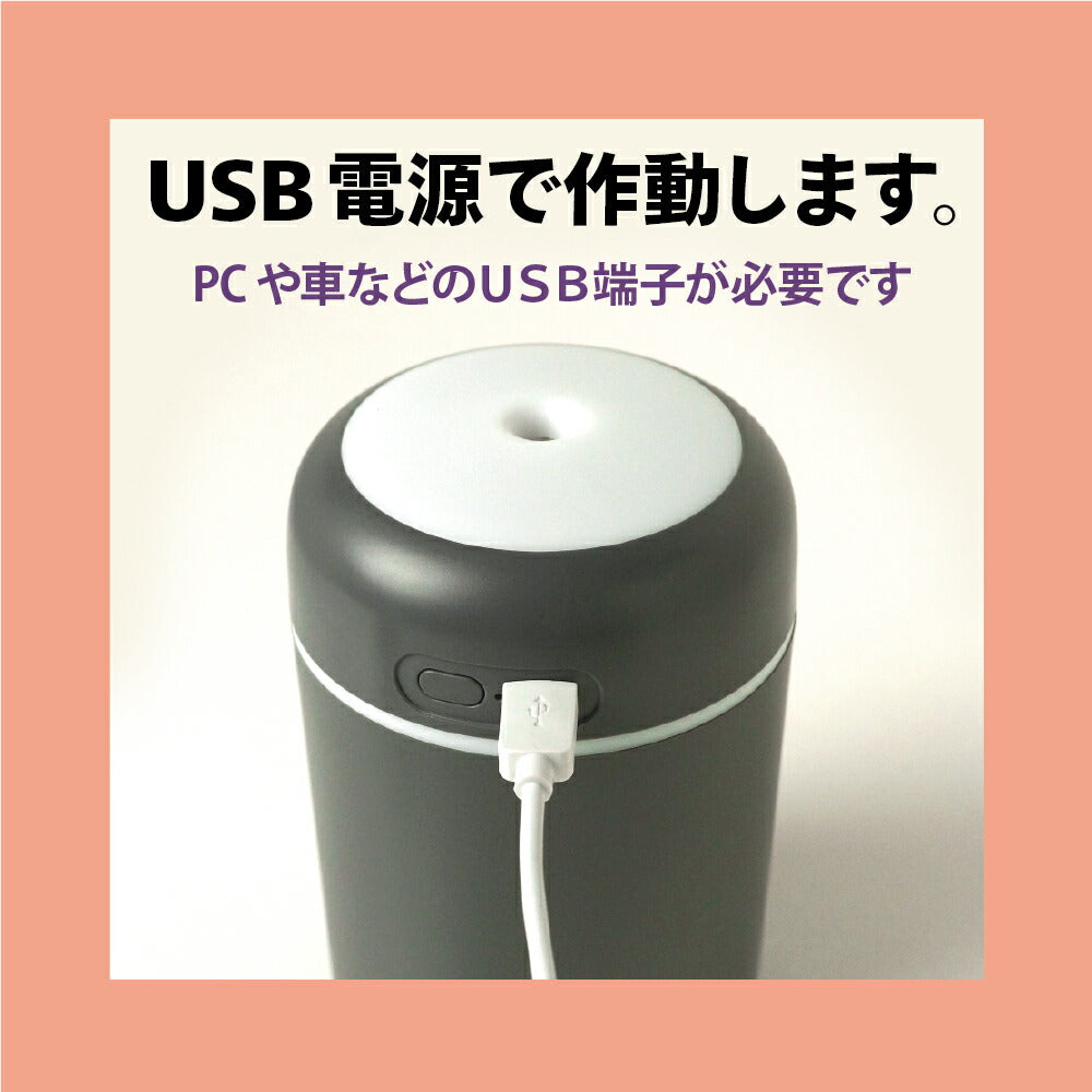 小型 加湿器 卓上 静音 USB給電式
