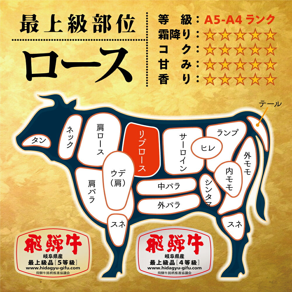お肉 肉 お中元 ギフト 飛騨牛 500g 霜降り ロース